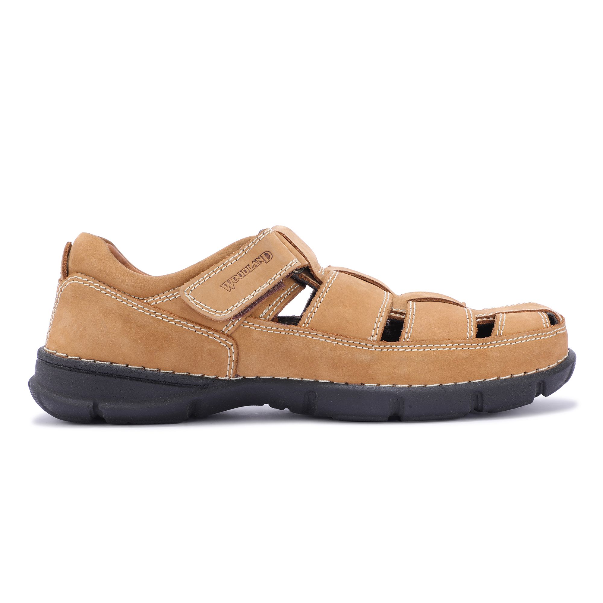 Woodland GD0491108W13 - Camel Casual Sandals for Men Size : (8 UK) or (42  Euro): Buy Online at Low Prices in India - Amazon.in