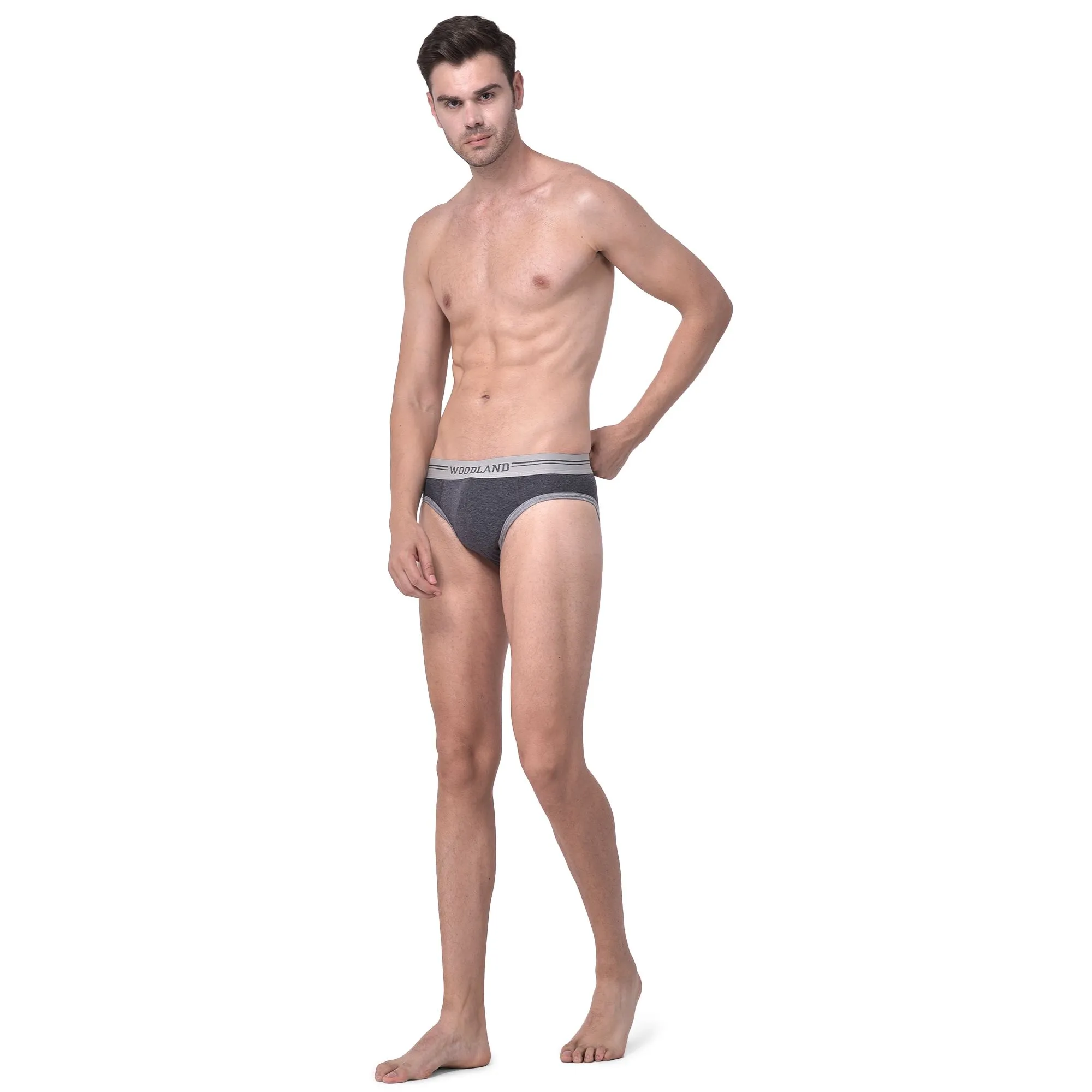 anthra-grey-brief-for-men