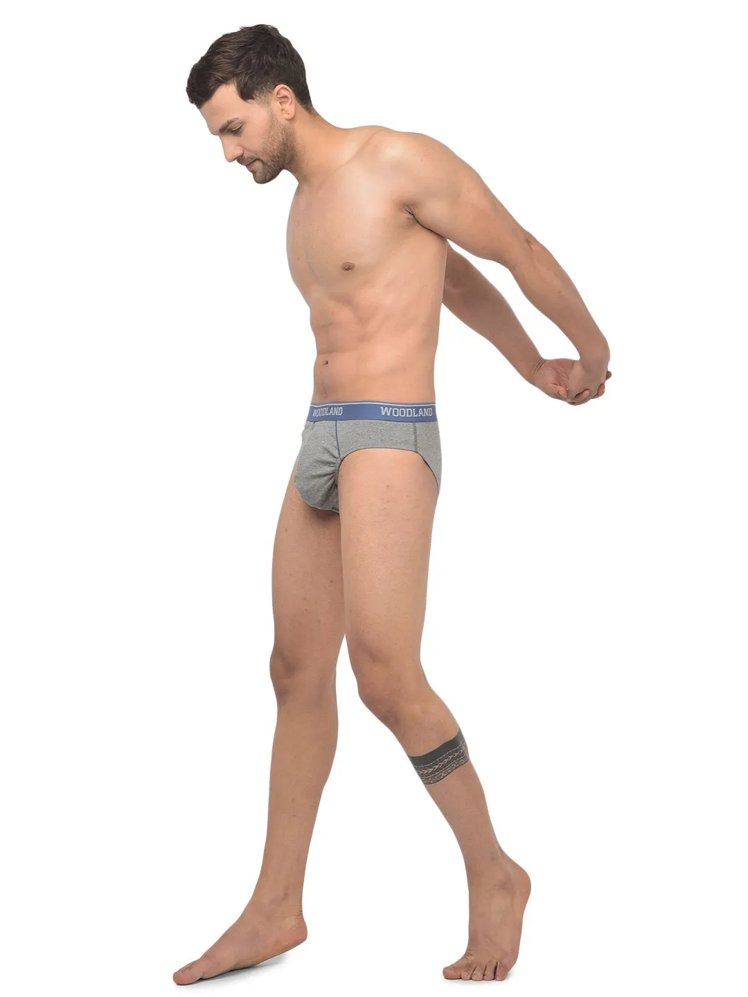 lgrey-anti-microbial-briefs-for-men-1