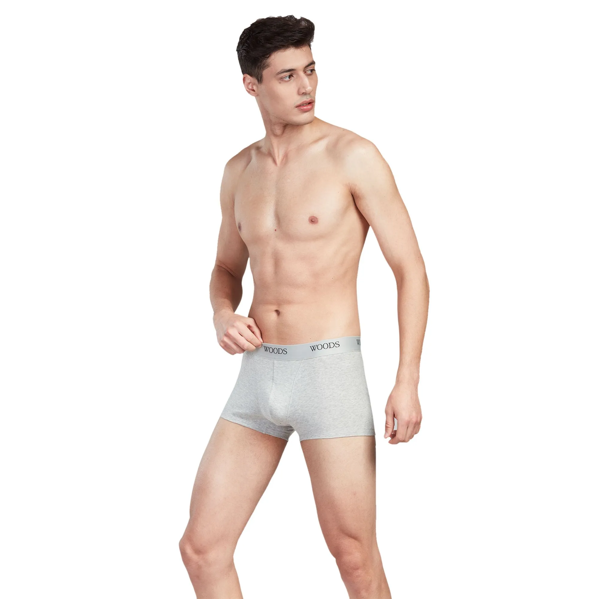 woods-lgrey-melange-microfiber-low-rise-trunk