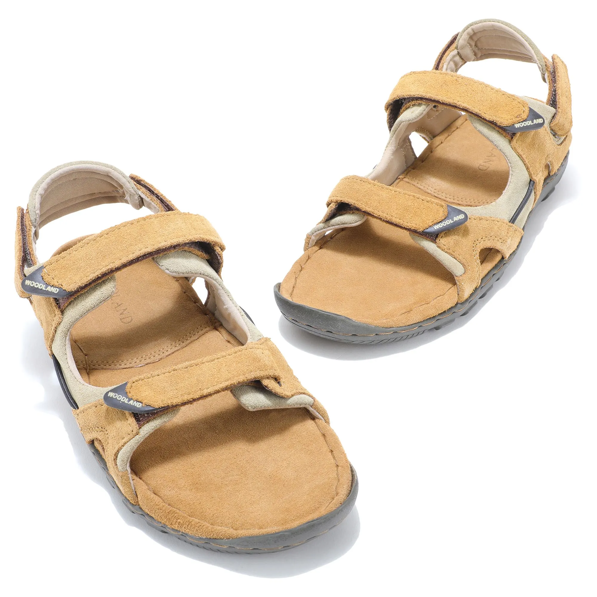 Leisure CAMEL - Thumbnail 2