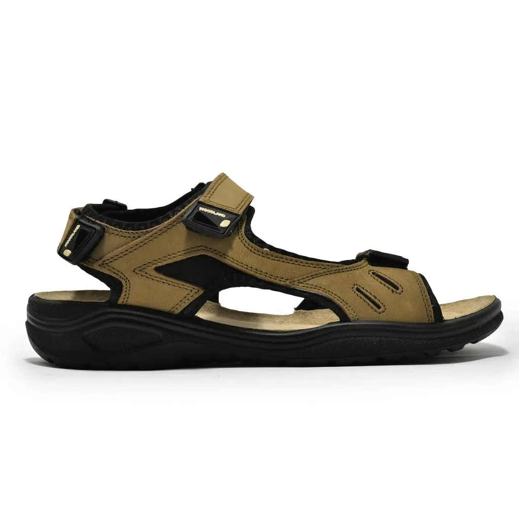 Dkhaki Sandal for Men - Image 1