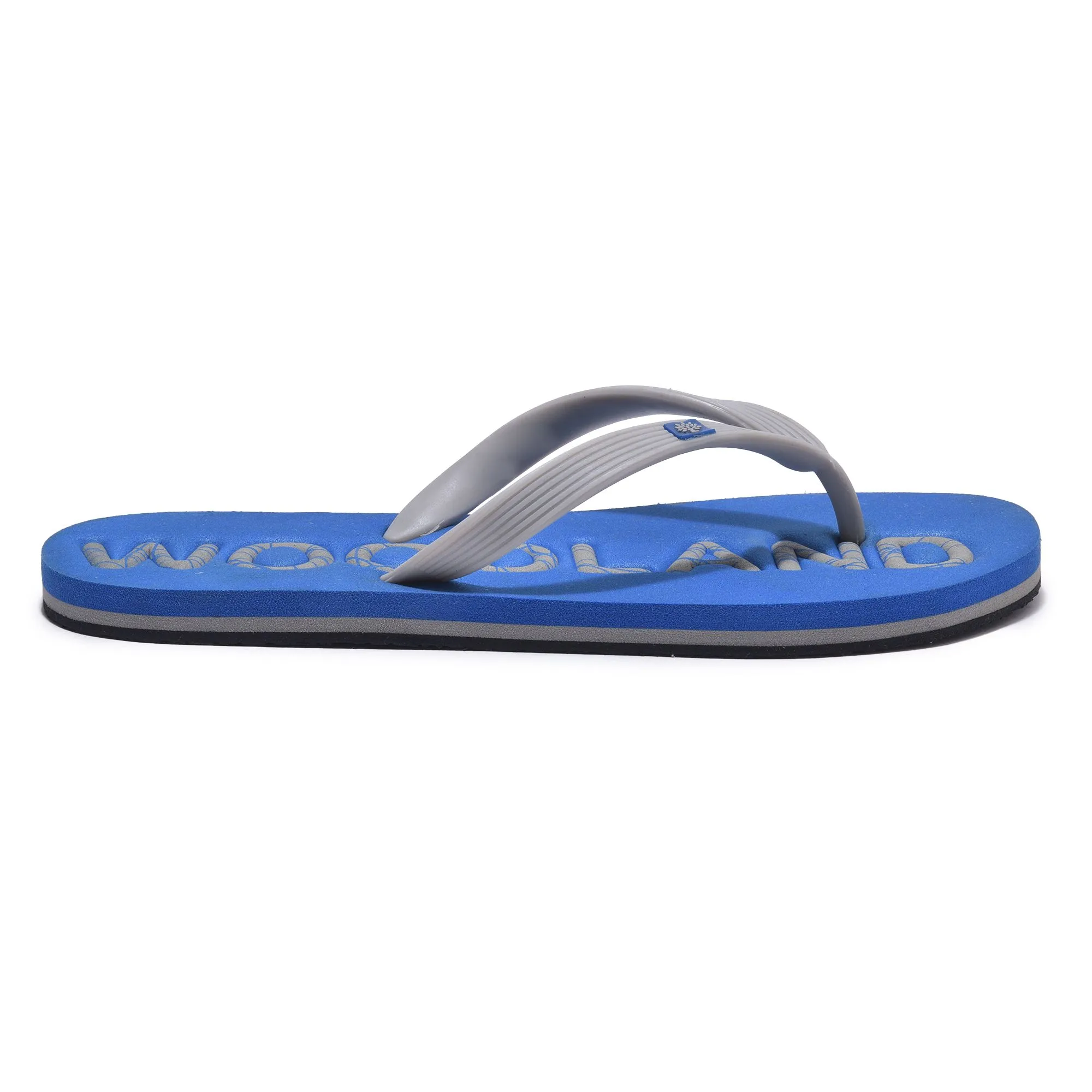 rblue-slippers-for-men-2