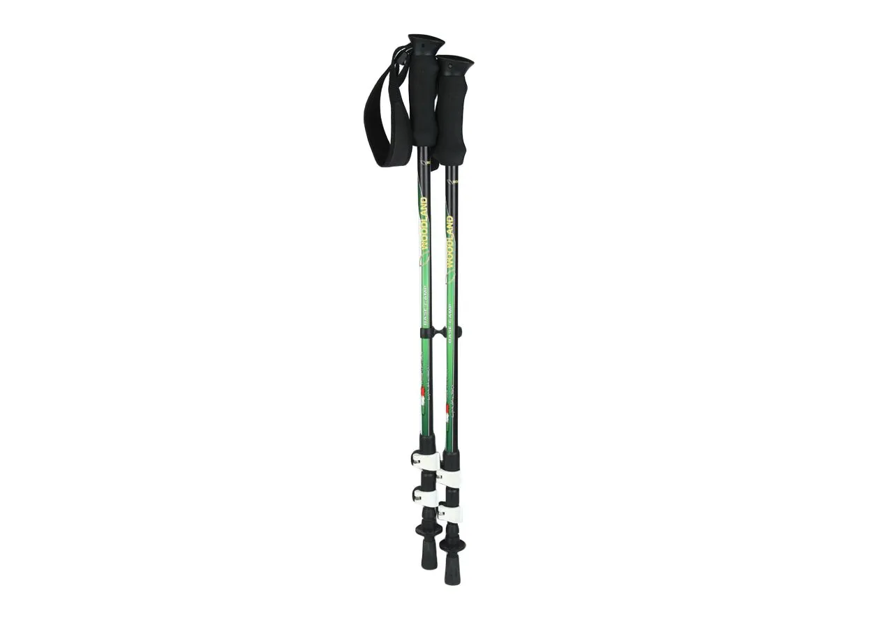 Walking ASSORTED stick for hiking - Thumbnail 1